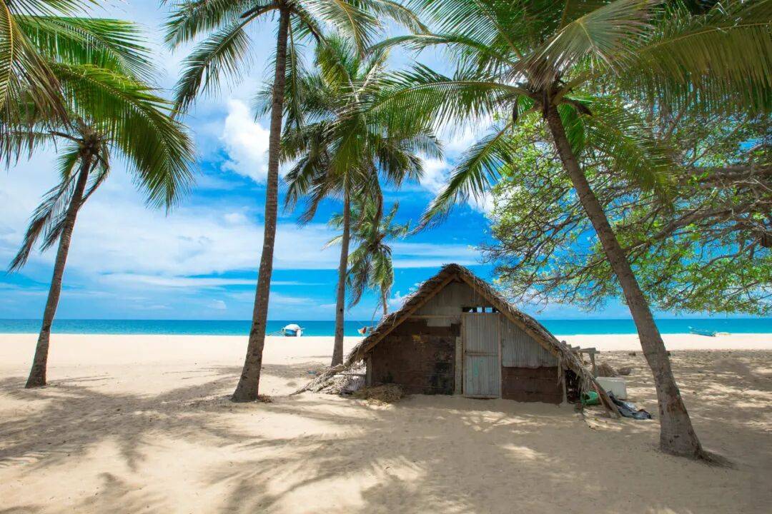 一切的国度!——斯里兰卡开元棋牌试玩除了雪拥有(图7) 一切的国度!——斯里兰卡开元棋牌试玩除了雪拥有(图7)